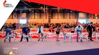 
Abre los ojos porque es real. Apunta, del 23 al 26 de junio, Exposición Mundial Canina
