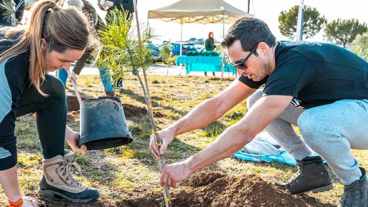 Lo han obtenido por sus trabajos de conservación y recuperación del bosque autóctono