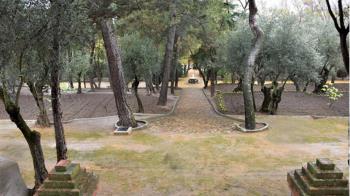 El plazo de envío de las imágenes comenzará el 21 de abril