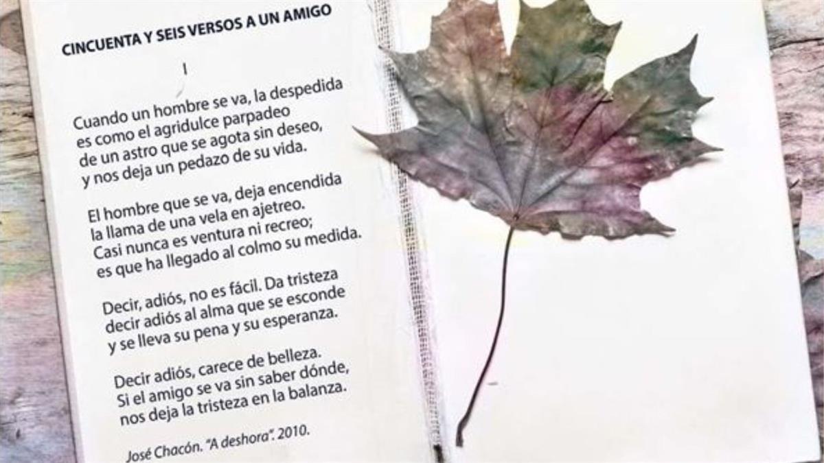 El tema de las obras es libre, debiendo tratarse de creaciones originales e inéditas 