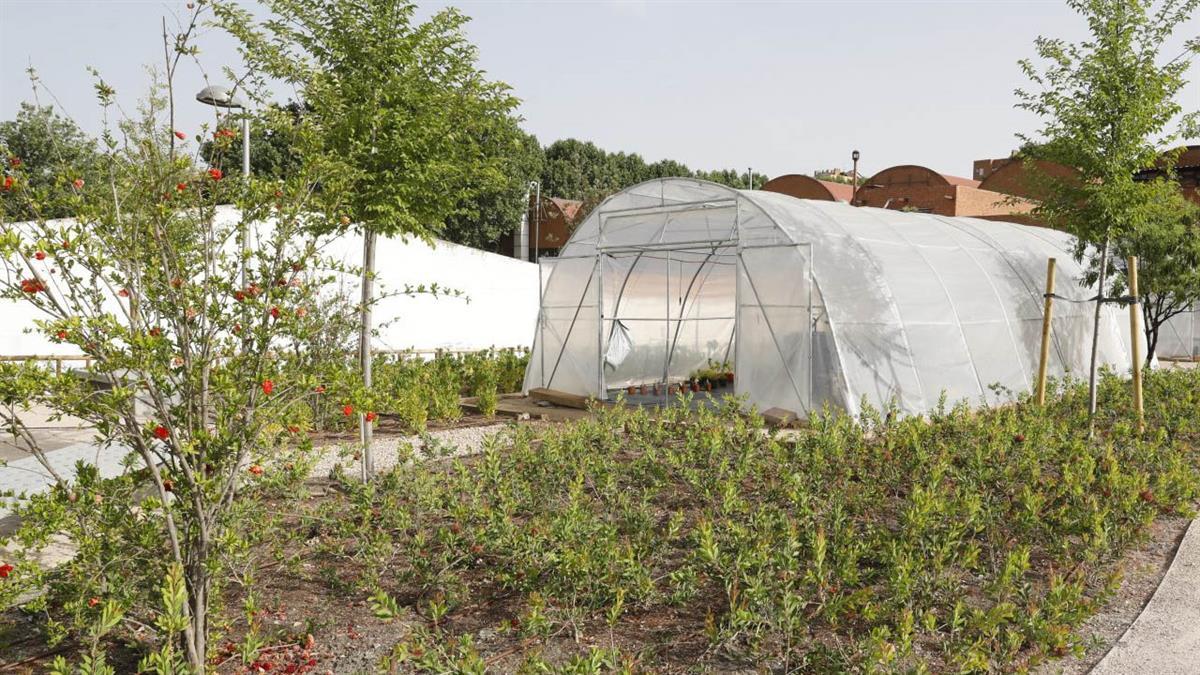 El objetivo es fomentar la producción agrícola y la economía local 