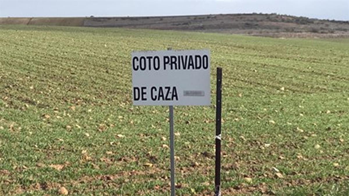 El periodo extraordinario de caza se desarrollará durante cuatro jornadas en los meses de junio y julio 