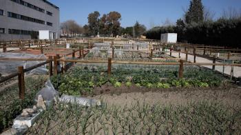 Solicita uno de los huertos urbanos ecológicos disponibles