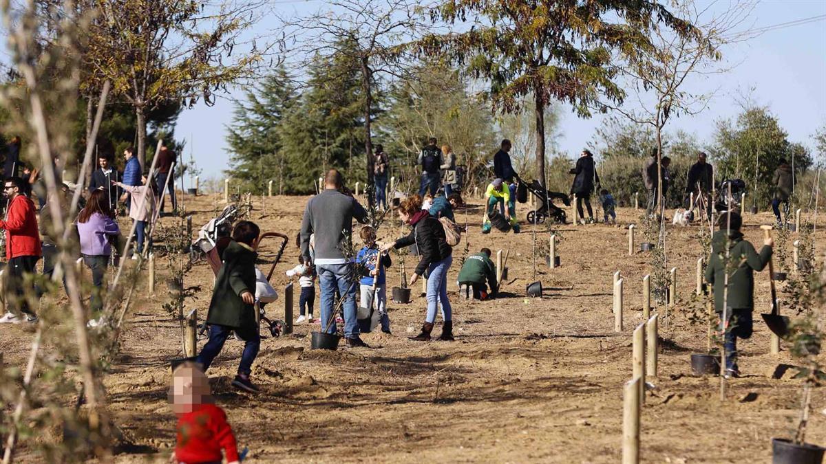 El Parque Cruz de la Atalaya tendrá un lavado de cara